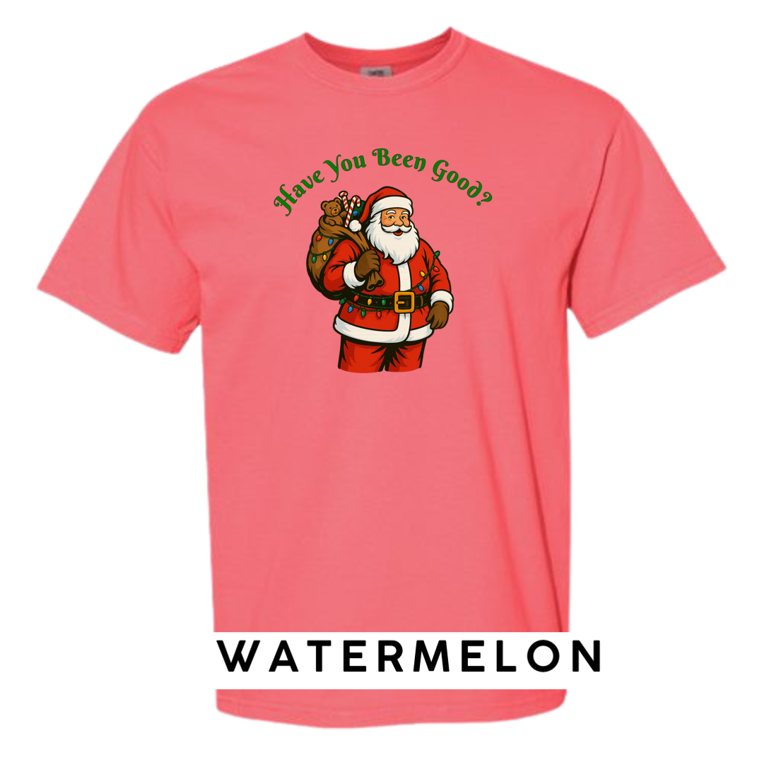 Santa Claus - Have you been Good?