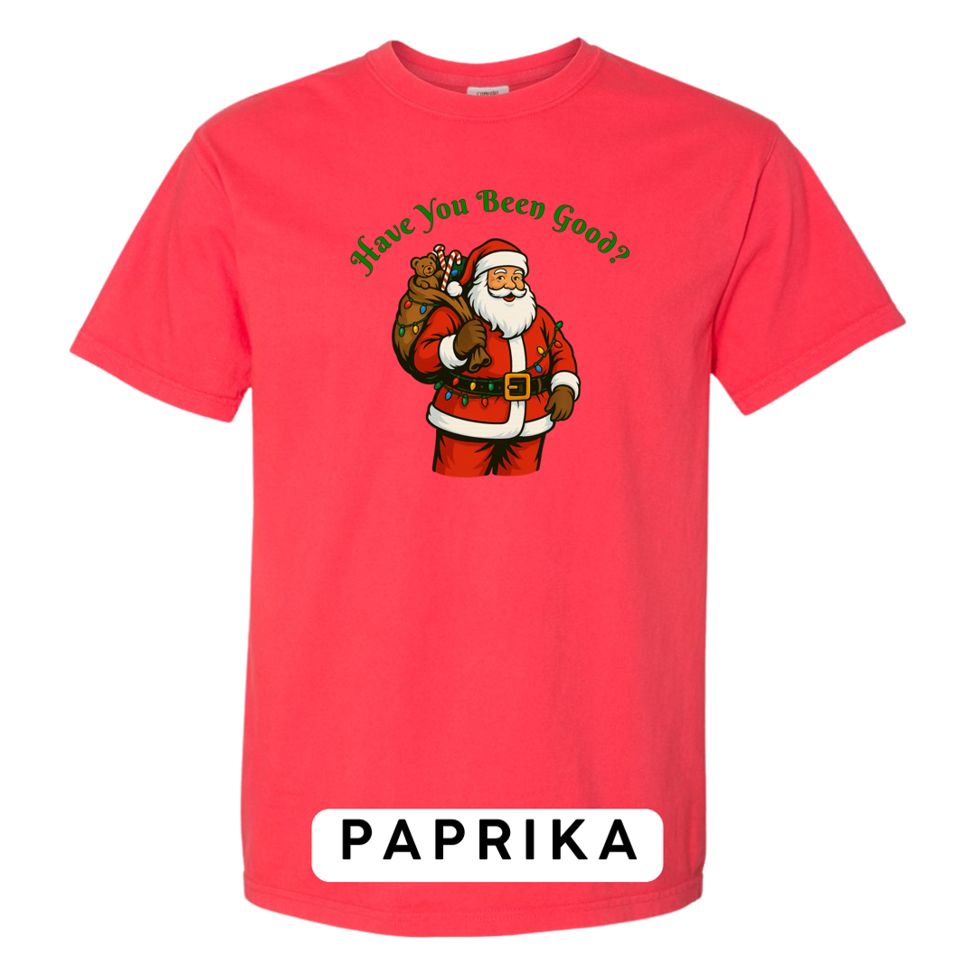 Santa Claus - Have you been Good?