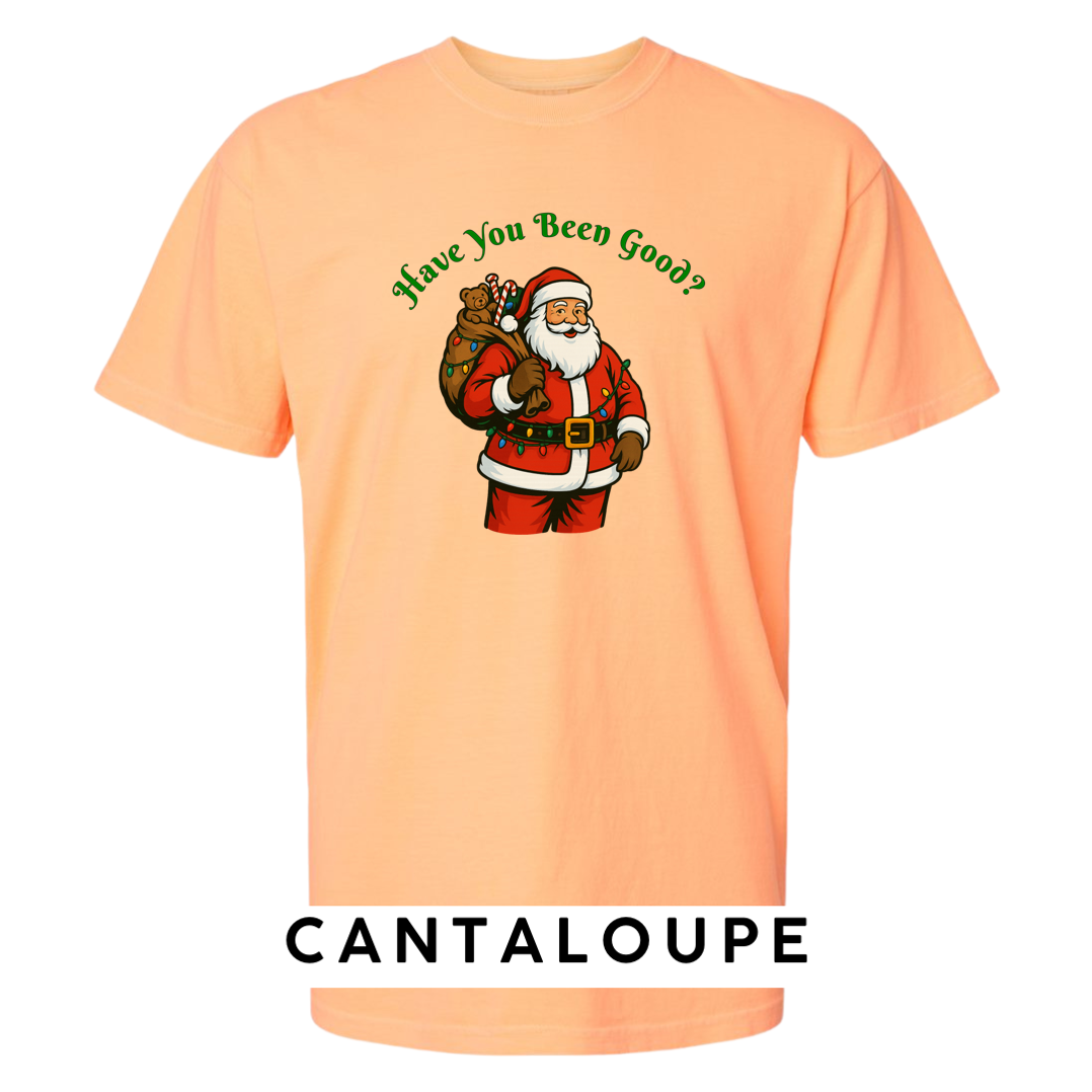 Santa Claus - Have you been Good?