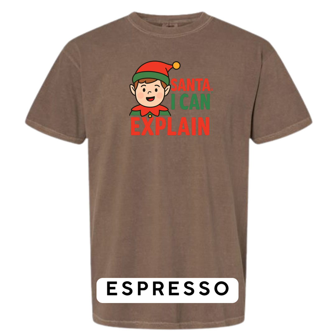 Santa, I can Explain