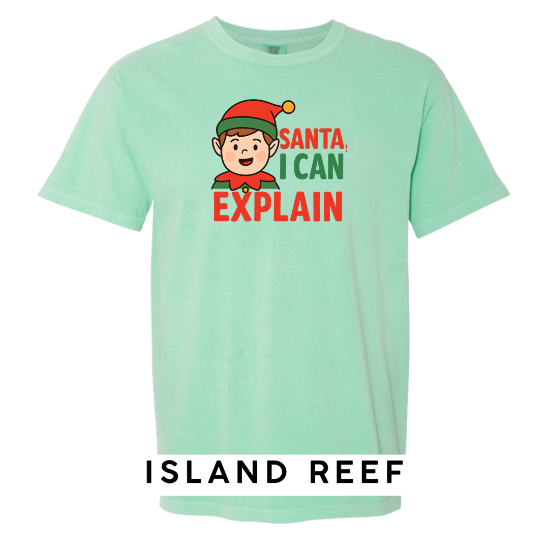 Santa, I can Explain