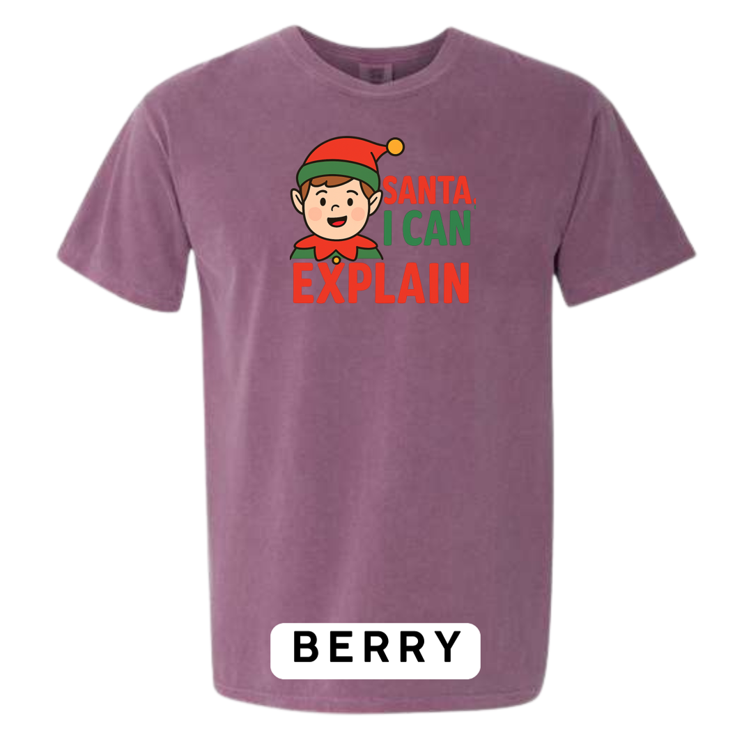 Santa, I can Explain