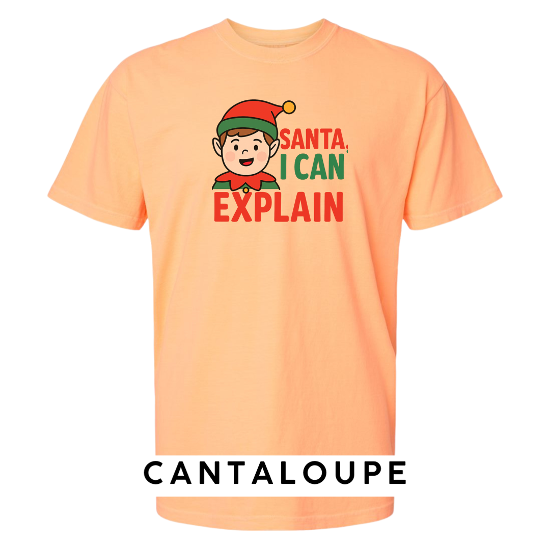 Santa, I can Explain