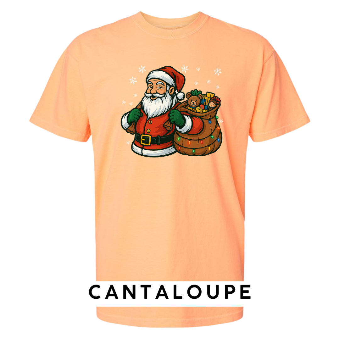 Santa and his Toy Bag